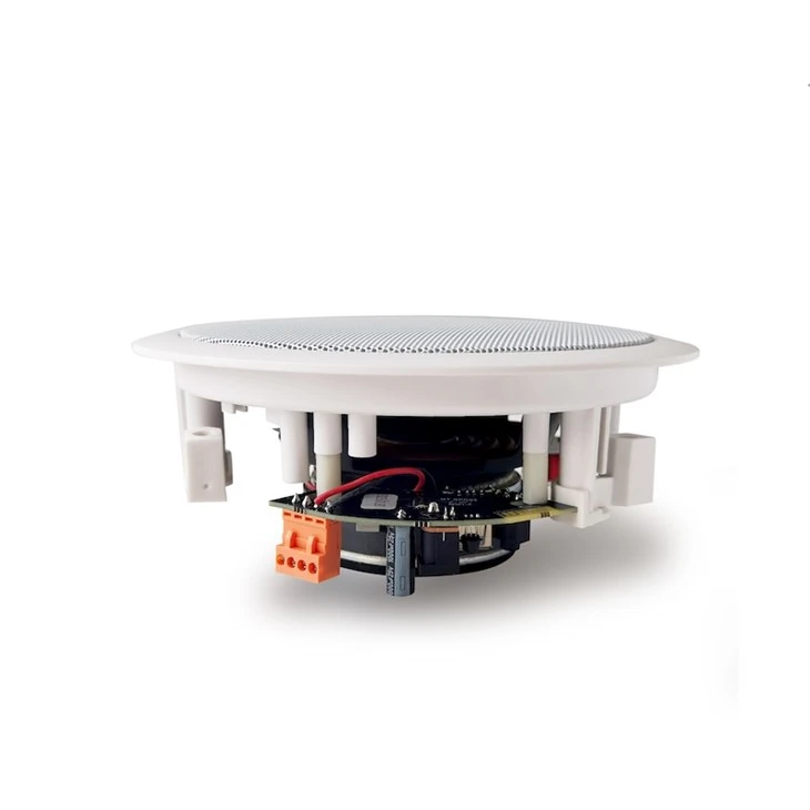 Bluetooth Ceiling Speaker factory